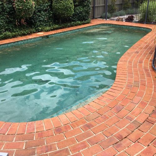 Hills Clean Seal 51